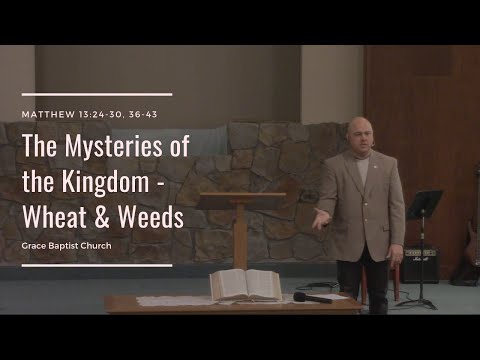 Mysteries of the Kingdom - Wheat & Weeds (Matthew 13:24-30, 36-43)