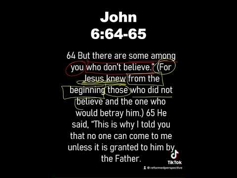 1 Minute Bible Study // John 6:64-65