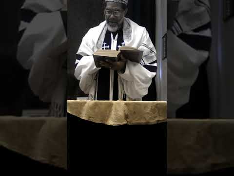 Obeying the Authority of Elohim (Acts 5:21-32)