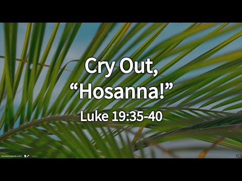 Luke 19:35-40 Cry Out, "Hosanna!"