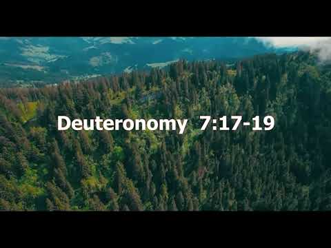 Deuteronomy 7:17-19  Today's Bible Devotion