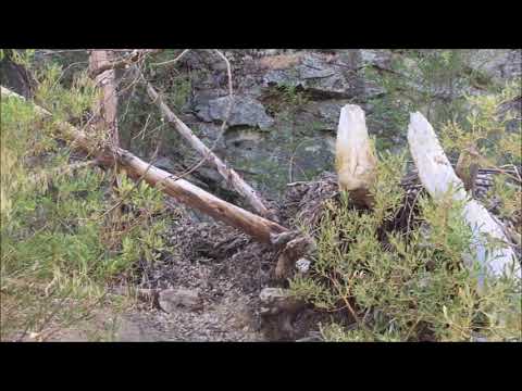 Hosea 14:1-3 | Adventure Nate