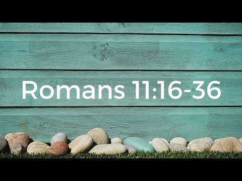 Romans 11:16-36