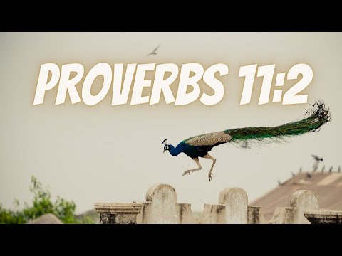 Bible Verse Of The Day | Scripture: Proverbs 11:2
