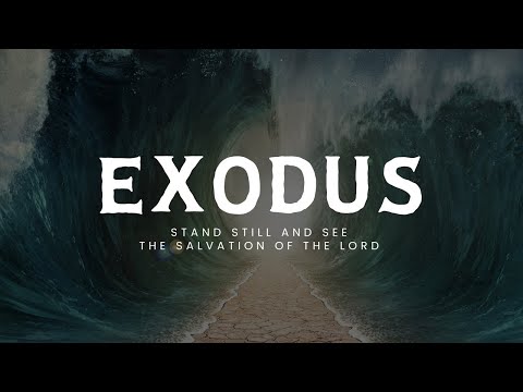Exodus  26:15-37 & 27:1-21