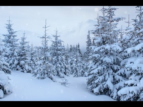 The Pursuit of God: God's Right Hand, Psalm 63:6-8