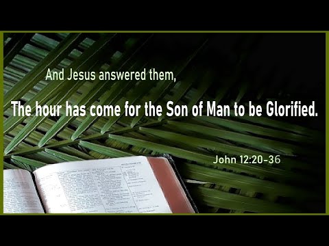 “The Glorification of Christ” John 12:20-36