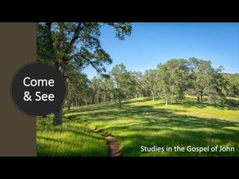 3/28/21 - I AM, John 8:21-59, Shawn Reese