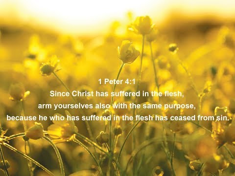 I Peter 4:1 (Command)