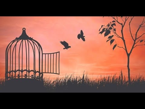 “In The Beginning: The Curse” Genesis 3:14-24