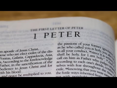 Sermon: "Fear God, Honor the King" (1 Peter 2:13-17)