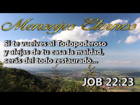 Job 22:23