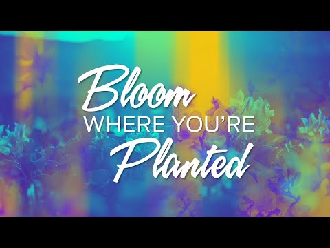 Bloom Where You're Planted - 1 Corinthians 7:14-24