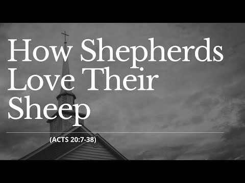 How Shepherds Love Their Sheep | Acts 20:7-38