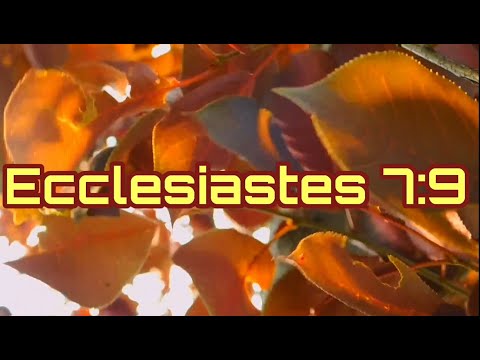Our Daily Verse: Ecclesiastes 7:9