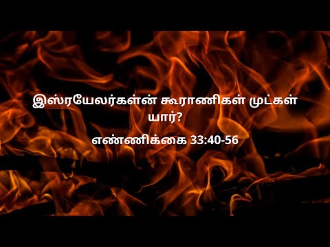 எண்ணிக்கை 33:40-56 | Daily Bible RC | Numbers 33:40-56