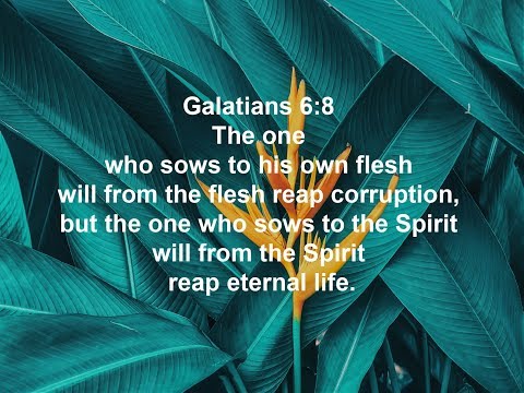 Galatians 6:8 (Promise)