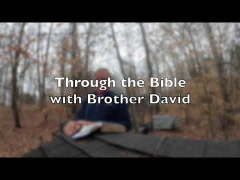 revelation 8:10  - 9:10