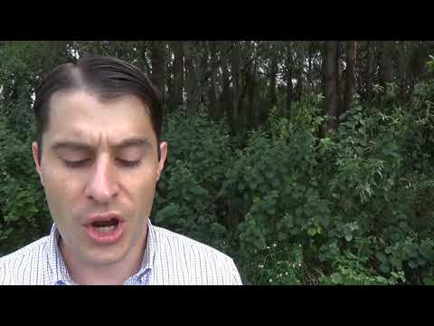 Exodus 20:1-4,7-9,12-20 Reading