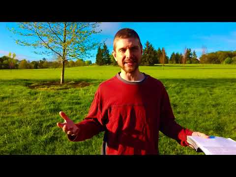 Ever have troubles getting something from the Bible? Daily devo Wednesday. Galatians 4:17-20