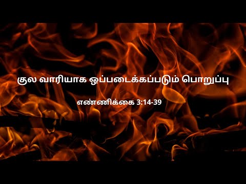 எண்ணிக்கை 3:14-39 | Daily Bible RC | Numbers 3:14-39