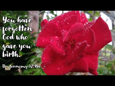 DEUTERONOMY 32:18-21 | YOU HAVE FORGOTTEN GOD WHO GAVE YOU BIRTH #YourLove #Verses
