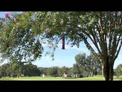 Day 237~ August 25~ Job 16:1-19:29, 1 Corinthians 16:1-24, Psalm 40:1-10, Proverbs 22:1