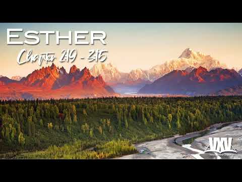 Verse by Verse - Esther 2:19 - 3-15