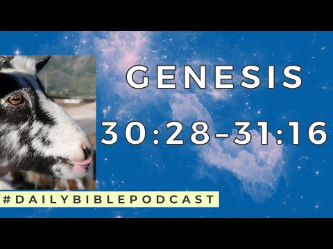 Wake Up to the Bible Podcast - Genesis 30:28-31:16
