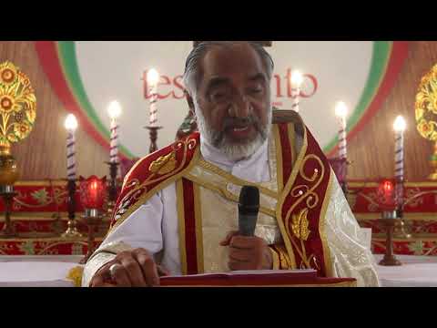 Daily reflection St Luke 4:38-41 (1/06/2020)