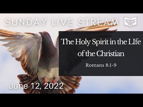 The Holy Spirit in the Life of the Christian —Romans 8:1-9