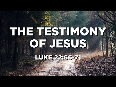 The Testimony of Jesus (Luke 22:66-71) | The Narrow Junior High Ministry | Luke Larco