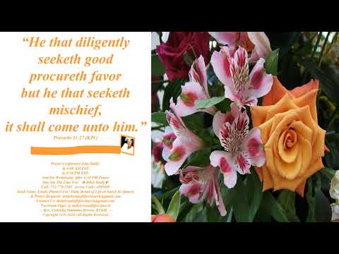 He That Diligently Proverbs 11:27 Rev. Cedricka Simmons-Brown