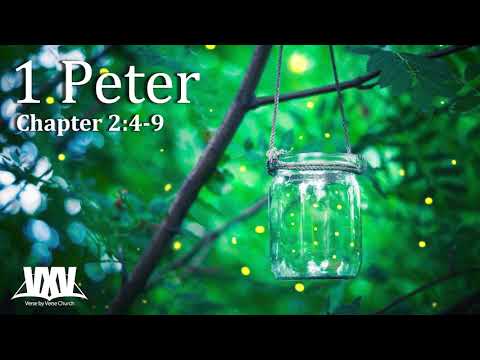 Verse by Verse - 1 Peter 2:4-9