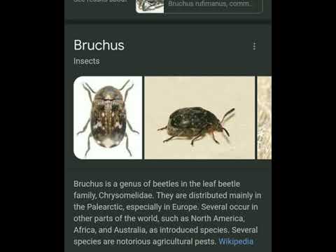 Psalm 105:18 They humbled his feet in fetters: the iron pierced his soul