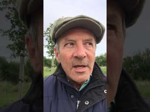 Daily Devotional Mark 8:14-16 Beware of yeast part 2