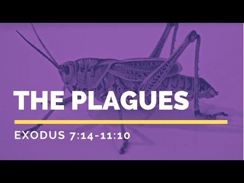 The Plagues | Exodus 7:14-11:10
