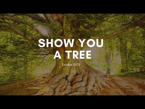 Show you a Tree (Exodus 15:25)