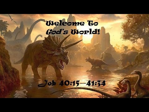 WELCOME TO GOD’S WORLD | Job 40:15–41:34
