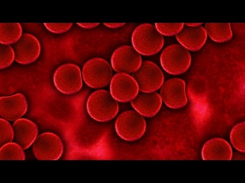 Everyday Bible Study- The Atonement of Christ's Blood - Romans 5:9, 1 Peter 1:18,19 - John Riley