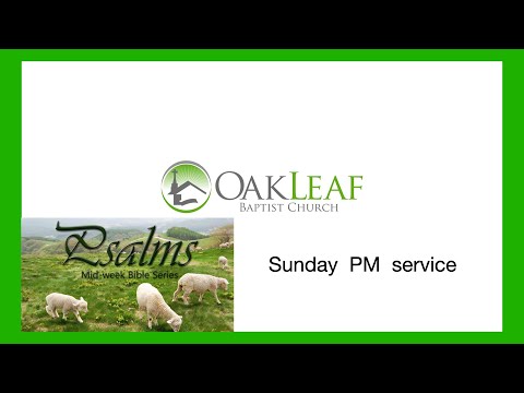 Goodness of God: Psalm 147:1-5 | August 1, 2021 PM | Dr Robert Ball | Oakleaf Baptist Church