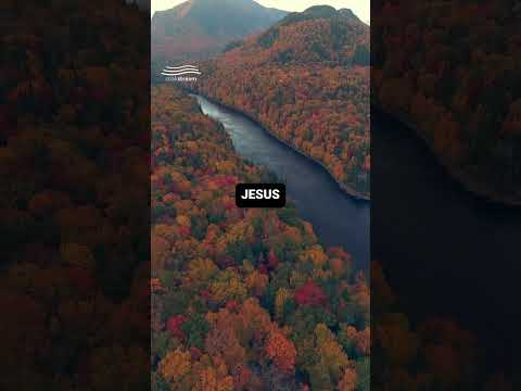 This Bible Verse Could Change Your Entire Day! ????????????????