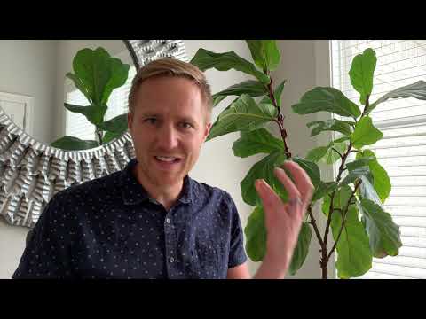 1 Chronicles 16:11 // Ben Ghormley & Worship!