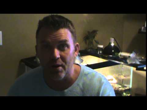 How do I get more of Christ?   John 14:18-24