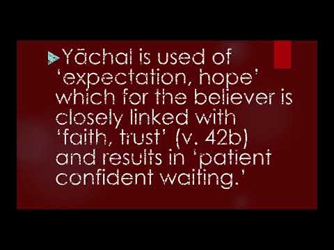 Suitable and Joyful Confession (Psalm 119: 41-48) 5/1/2022