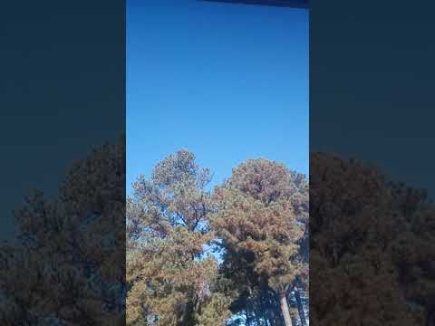 11/30/21 Day ordered by the Most High Job 33:14-15