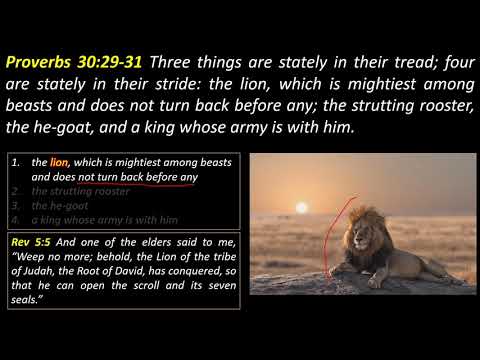 Proverbs 30:29-31