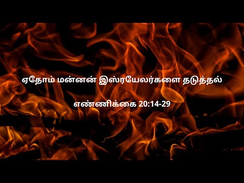 எண்ணிக்கை 20:14-29 | Daily Bible RC | Numbers 20:14-29