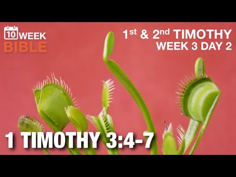 The Devil’s Trap | 1 Timothy 3:4-7  | Week 3 Day 2 Study of 1 Timothy