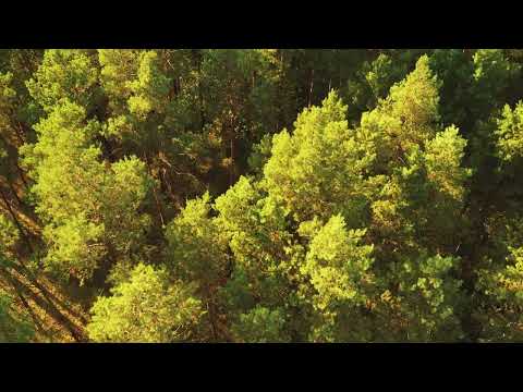 iway bible verse (Matthew 24:45-46)